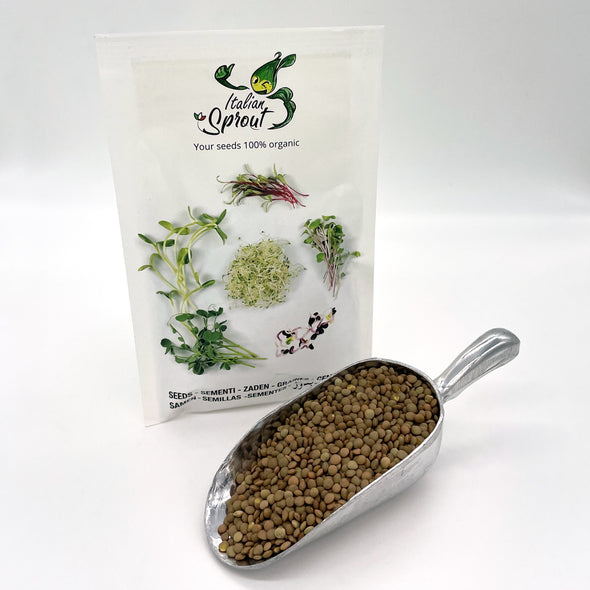 Sprouting seeds - Lentils green Velvet