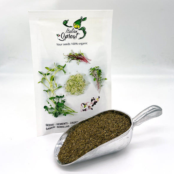 Semi per microgreens - Tarassaco Puff