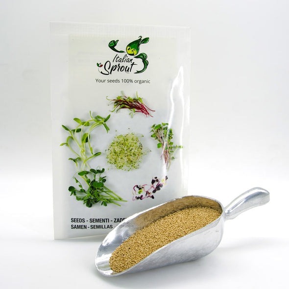 Microgreen seeds - Red Amaranth Flame