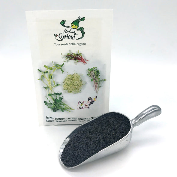 Microgreen seeds - Thai basil Aroma