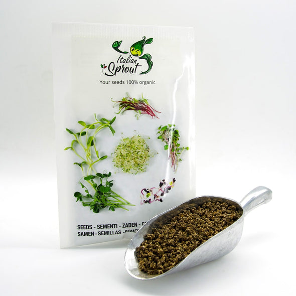 Microgreen seeds - Red beet Agata