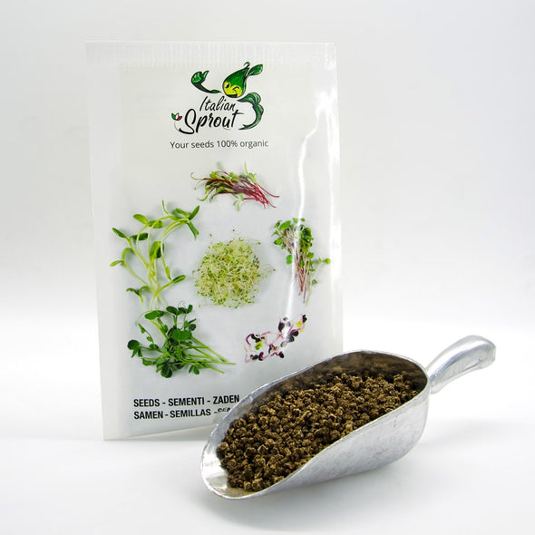 Microgreen seeds - Rose swiss chard Confetti