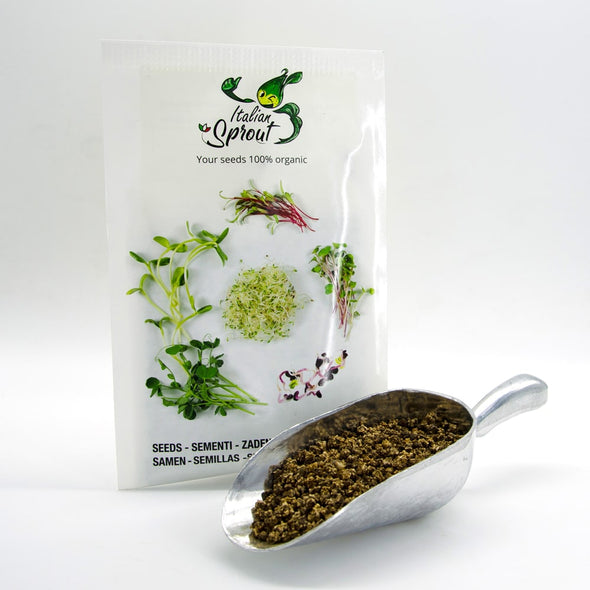 Sprouting seeds - Bull’s Blood beet Granada