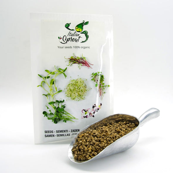 Microgreen seeds - Yellow swiss chard Mimosa