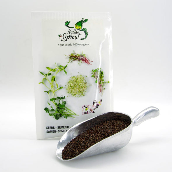 Microgreen seeds - Broccoli calabrese Sibari