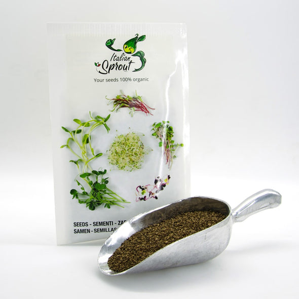 Microgreen seeds - Carrot Peline