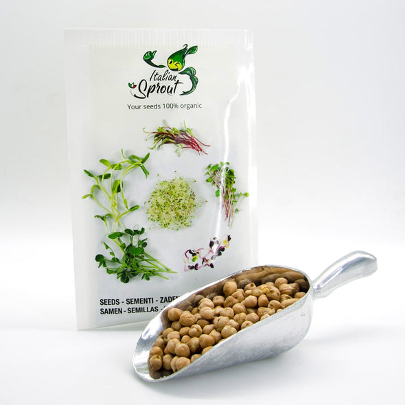 Sprouting seeds - Chickpeas Magno