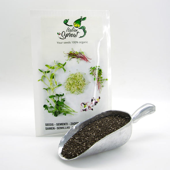 Sprouting seeds - Chia Helmet