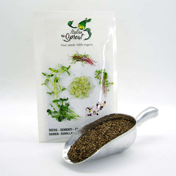 Semi per microgreens - Cicoria a stelo bianco Luke