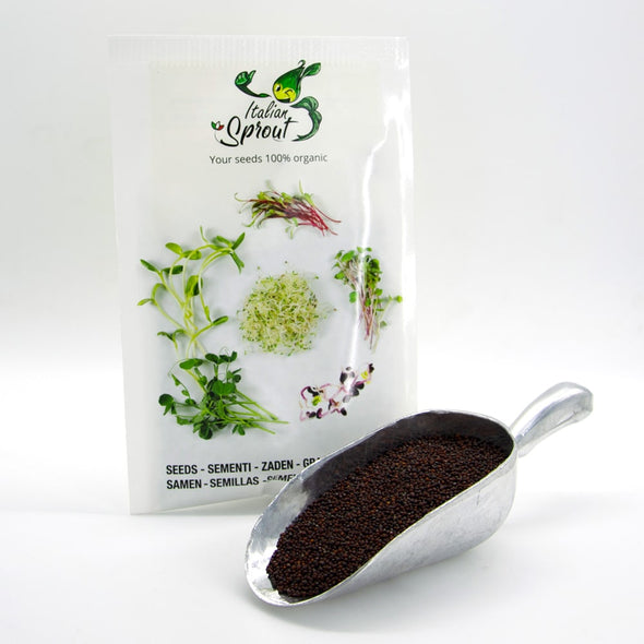 Microgreen seeds - Rapeseed Lillo