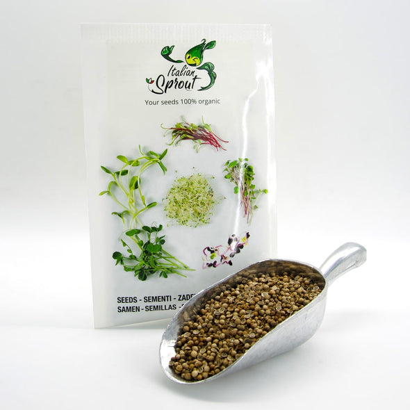 Microgreen seeds - Split coriander Giano