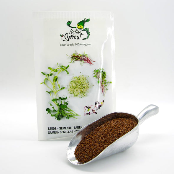 Sprouting seeds - Cress Romagna