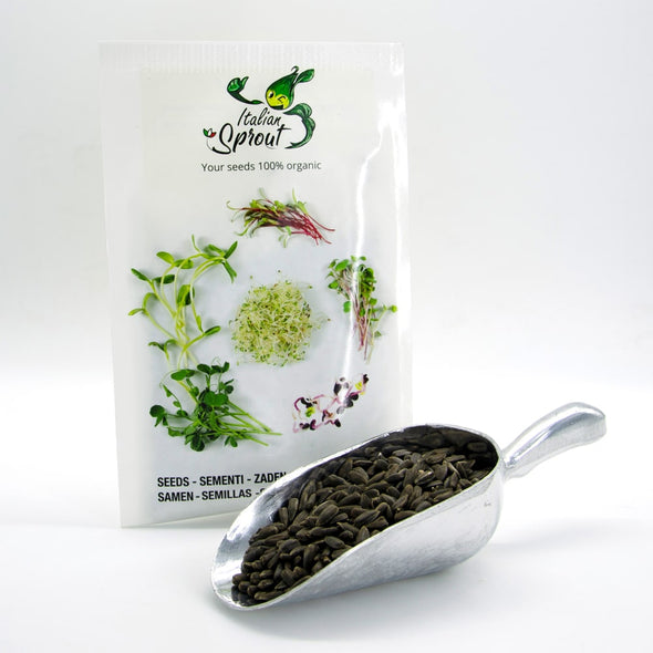 Microgreen seeds - Sunflower Buddy