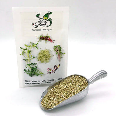 Sprouting seeds - Shelled buckwheat Sphynx