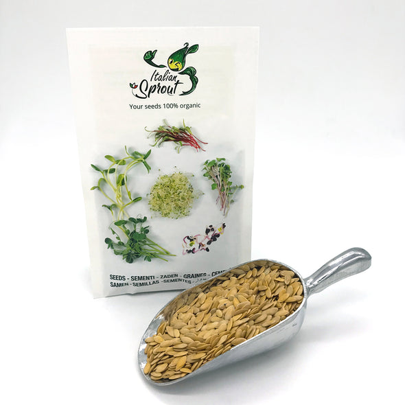 Microgreen seeds - Cantaloupe melon Coco