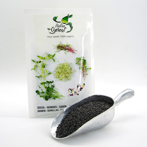 Semi per microgreens - Pak Choi Panda