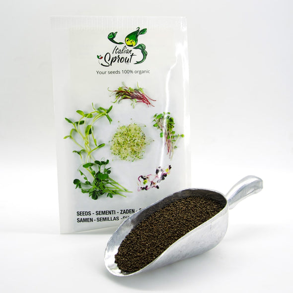 Microgreen seeds - Red perilla Pachamama