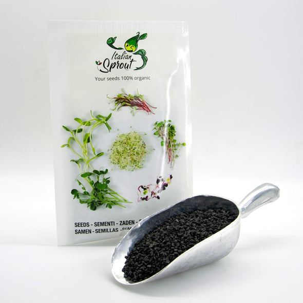 Sprouting seeds - Garlic chives Pucca