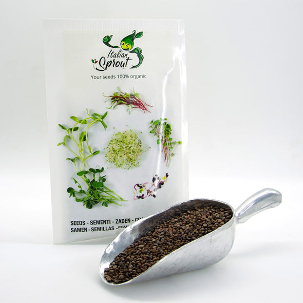 Microgreen seeds - Radish Tango