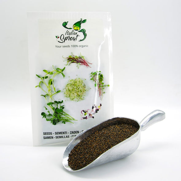 Microgreen seeds - Cultivated rocket Matisse