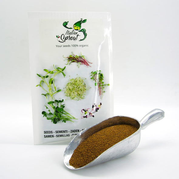Semi per microgreens - Rucola selvatica Chantico