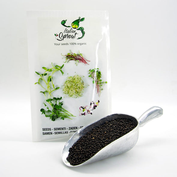 Semi per microgreens - Salvia Bomber