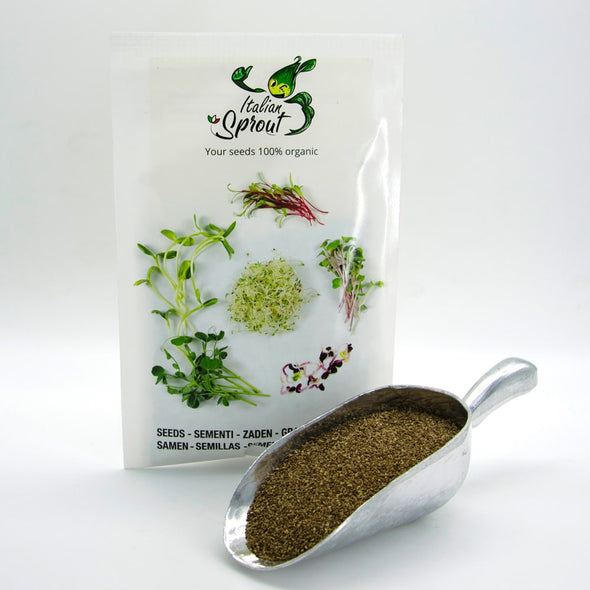 Semi per microgreens - Sedano Elfo