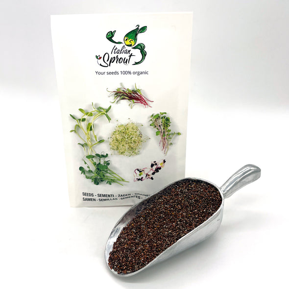 Microgreen seeds - Mustard black Dalia