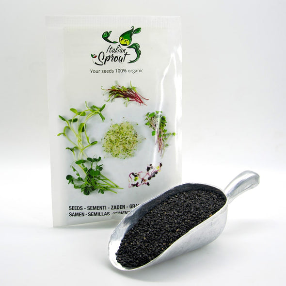 Microgreen seeds - Black sesame Ardesia