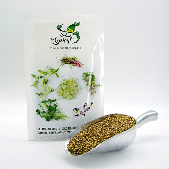 Microgreen seeds - Corn salad Lullaby