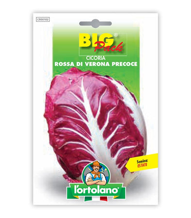 Orto seeds - early Verona red chicory