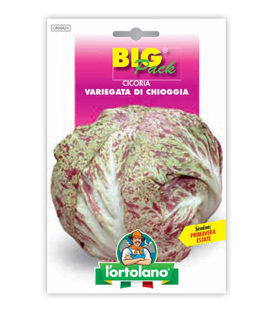 Orto seeds - Chicory of Chioggia's varied chicory