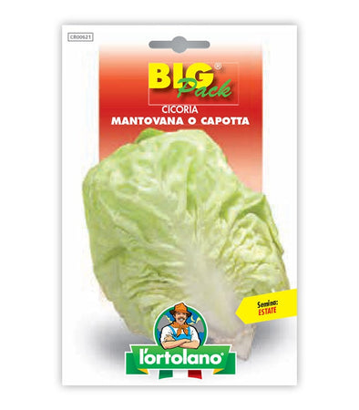 Orto seeds - Mantuan chicory or captta