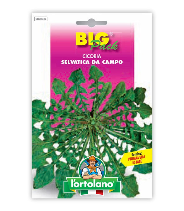 Semi da orto - Cicoria Selvatica da Campo