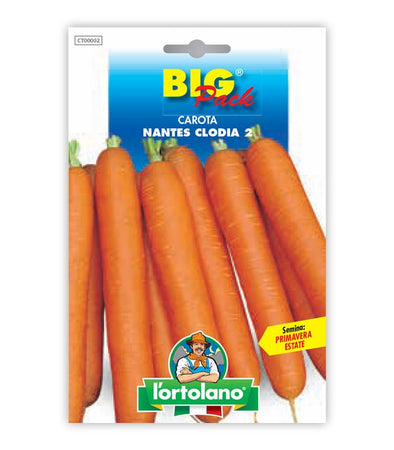 Garden seeds - Nantes Clodia 2 carrot