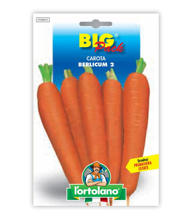 Garden seeds - Berlicum carrot 2
