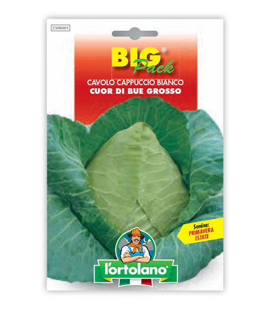 Cabbage Bianco Cuor di Bue Grosso