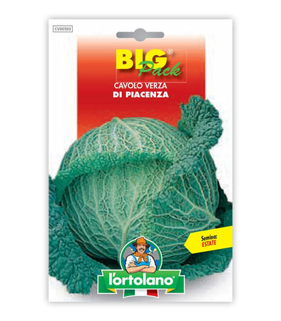 Savoy Cabbage di Piacenza