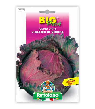 Savoy Cabbage Violaceo di Verona