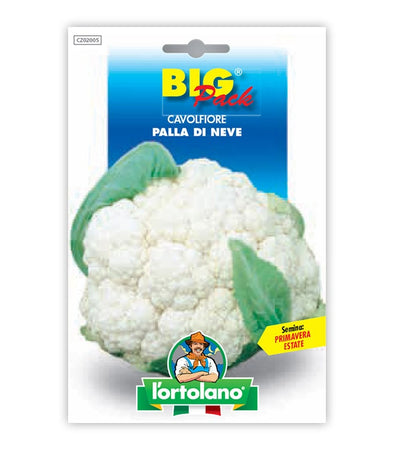 Cauliflower Palla di Neve