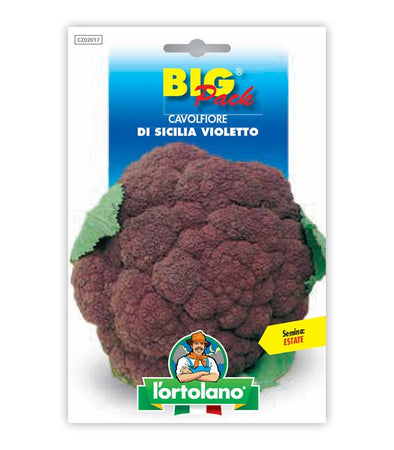Orto seeds - Cauliflower of Sicily Violet