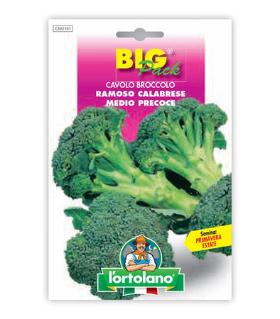 Broccoli Ramoso Calabrese medio-precoce