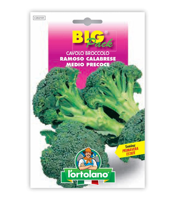 Semi da orto - Cavolo Broccolo Ramoso Calabrese medio-precoce