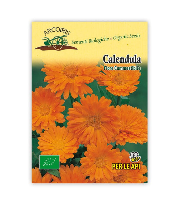 Calendula - Italian Sprout