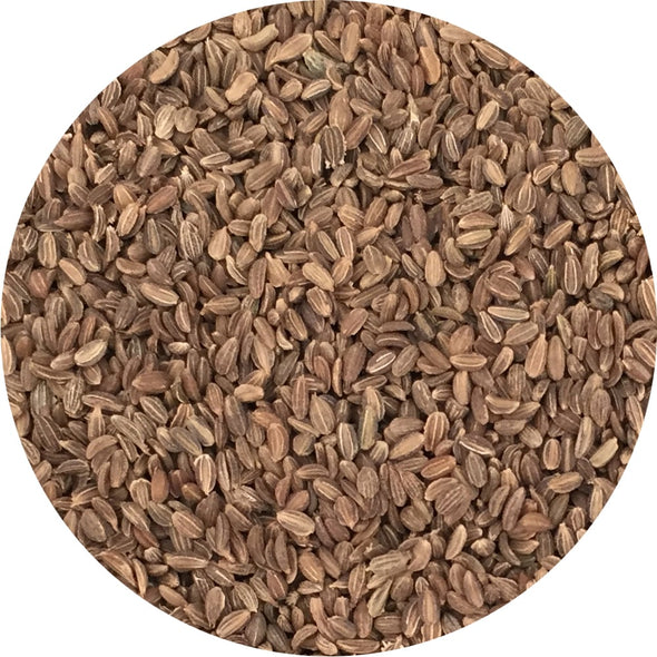 Semi da germoglio - Carota Peline