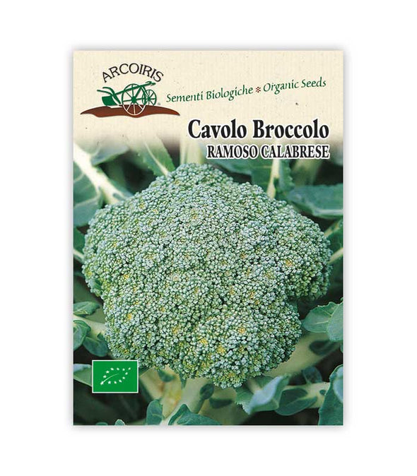 Broccoli ramoso calabrese