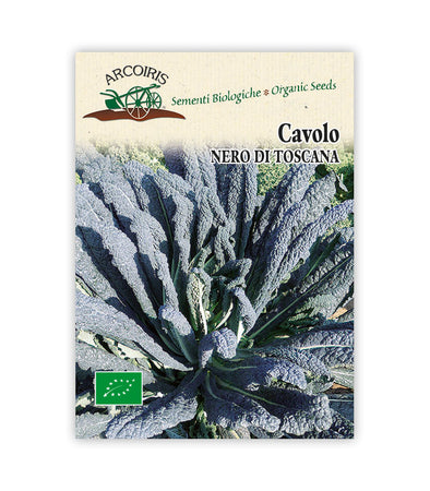 Cavolo Nero di Toscana - Italian Sprout