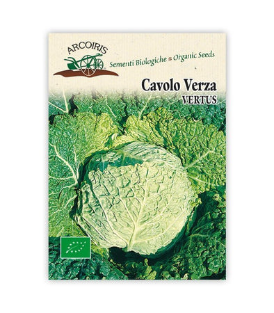 Cavolo verza Vertus - Italian Sprout