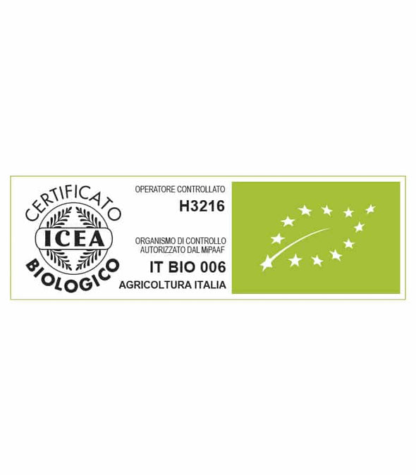 Lattuga Salad bowl verde - Italian Sprout