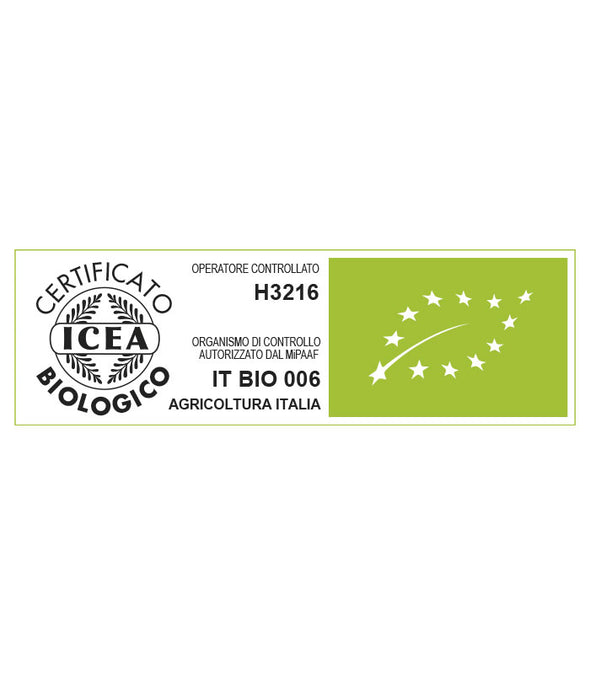Semi da orto bio - Zucchino Bianca Goriziana